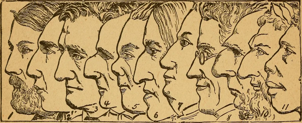 An illustration from How to read character : a new illustrated hand-book of phrenology and physiognomy, for students and examiners : with a descriptive chart, 1890, leaf 197