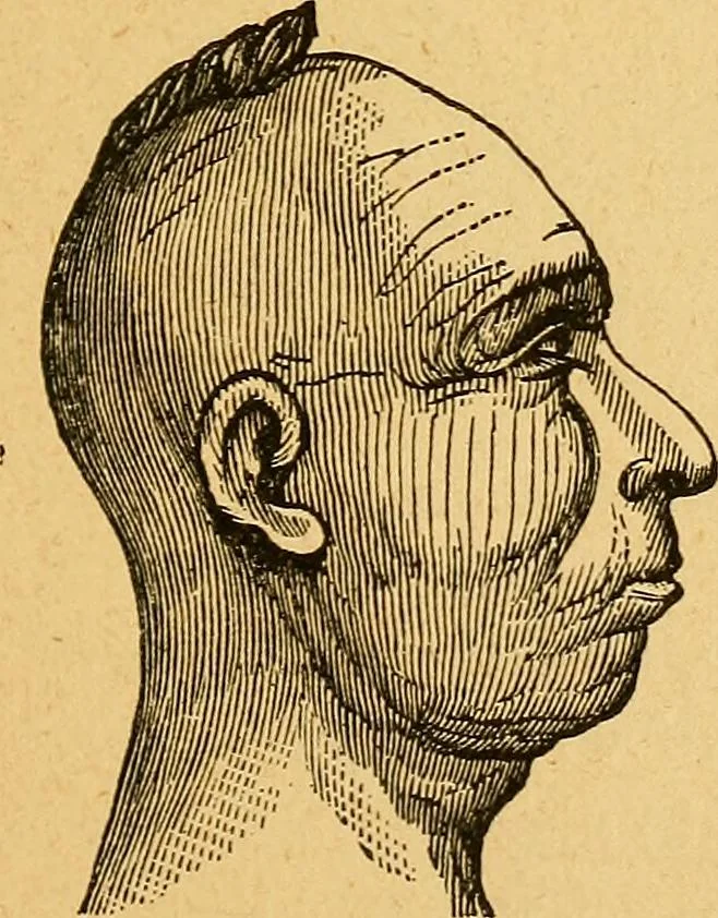 An illustration from How to read character : a new illustrated hand-book of phrenology and physiognomy, for students and examiners : with a descriptive chart, 1890, leaf 36