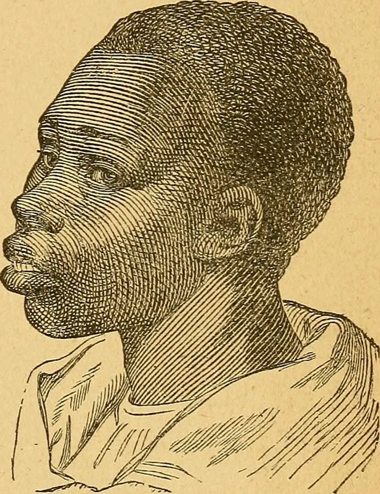 An illustration from How to read character : a new illustrated hand-book of phrenology and physiognomy, for students and examiners : with a descriptive chart, 1890, leaf 38