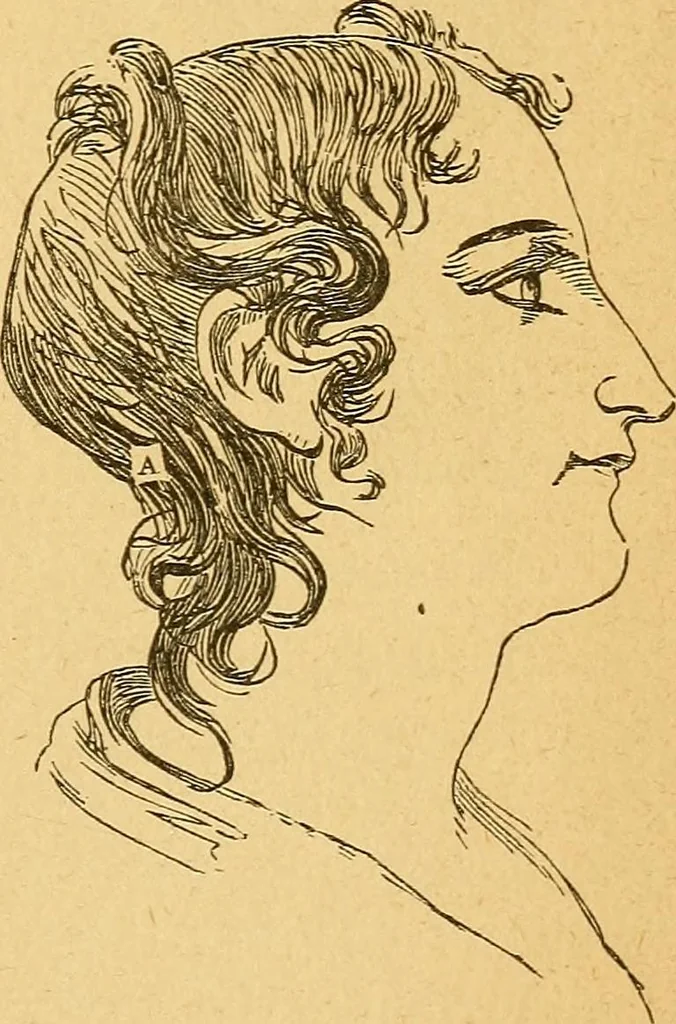 An illustration from How to read character : a new illustrated hand-book of phrenology and physiognomy, for students and examiners : with a descriptive chart, 1890, leaf 46