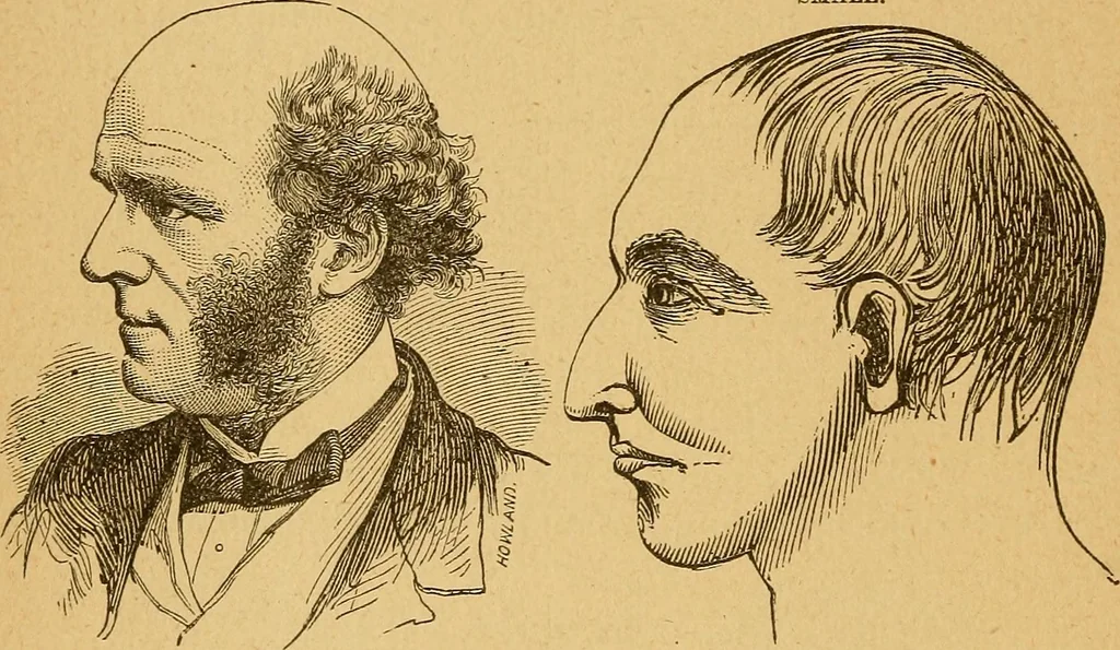 An illustration from How to read character : a new illustrated hand-book of phrenology and physiognomy, for students and examiners : with a descriptive chart, 1890, leaf 53
