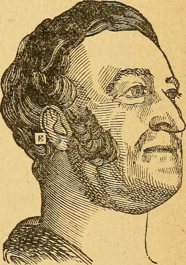 An illustration from How to read character : a new illustrated hand-book of phrenology and physiognomy, for students and examiners : with a descriptive chart, 1890, leaf 54