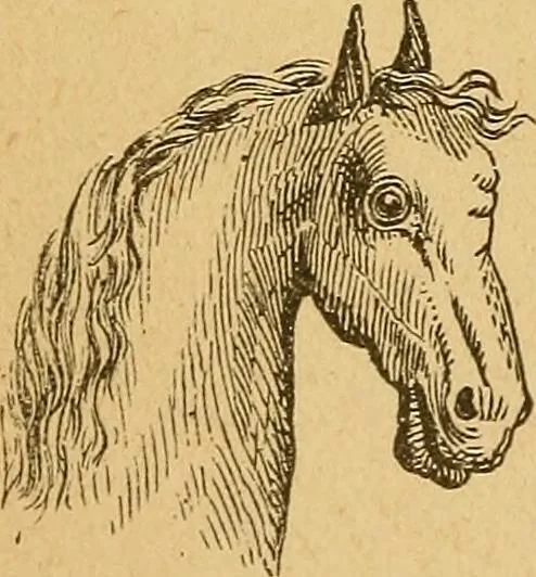 An illustration from How to read character : a new illustrated hand-book of phrenology and physiognomy, for students and examiners : with a descriptive chart, 1890, leaf 57