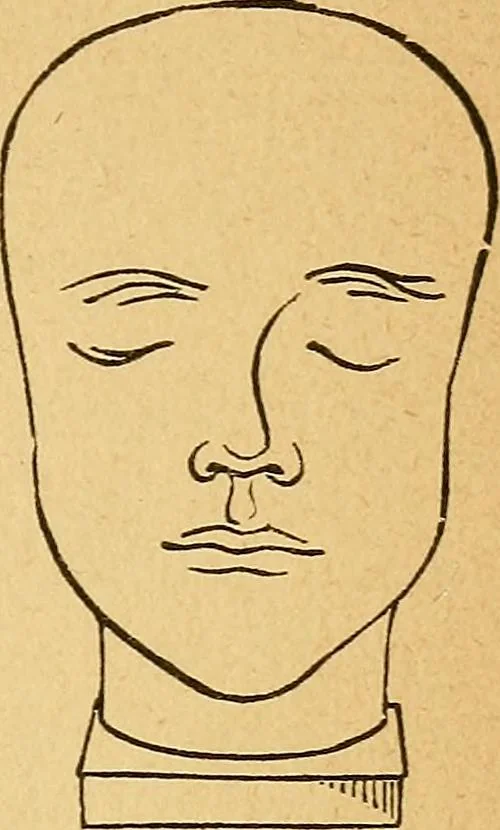 An illustration from How to read character : a new illustrated hand-book of phrenology and physiognomy, for students and examiners : with a descriptive chart, 1890, leaf 68