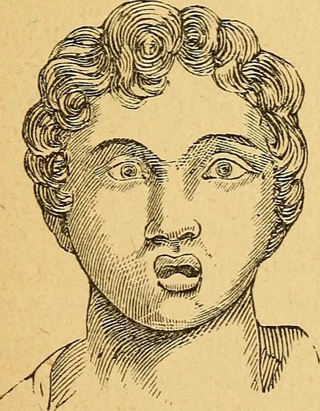 An illustration from How to read character : a new illustrated hand-book of phrenology and physiognomy, for students and examiners : with a descriptive chart, 1890, leaf 84