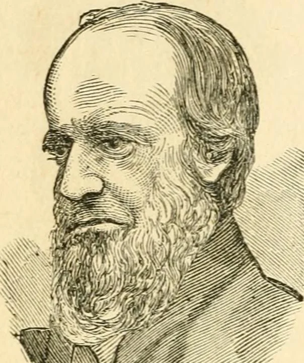 An illustration from How to read character : a new illustrated hand-book of phrenology and physiognomy, for students and examiners; with a descriptive chart, 1891, leaf 113