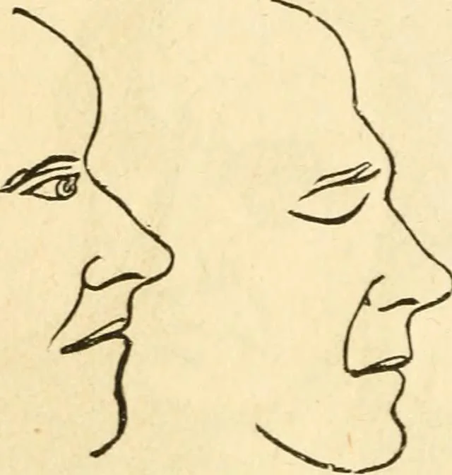 An illustration from How to read character : a new illustrated hand-book of phrenology and physiognomy, for students and examiners; with a descriptive chart, 1891, leaf 113