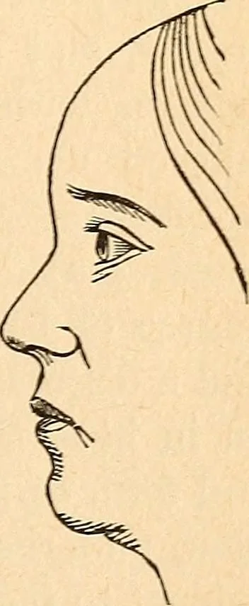 An illustration from How to read character : a new illustrated hand-book of phrenology and physiognomy, for students and examiners; with a descriptive chart, 1891, leaf 126