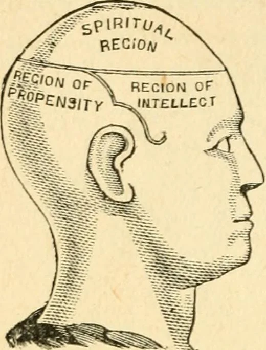 An illustration from How to read character : a new illustrated hand-book of phrenology and physiognomy, for students and examiners; with a descriptive chart, 1891, leaf 129