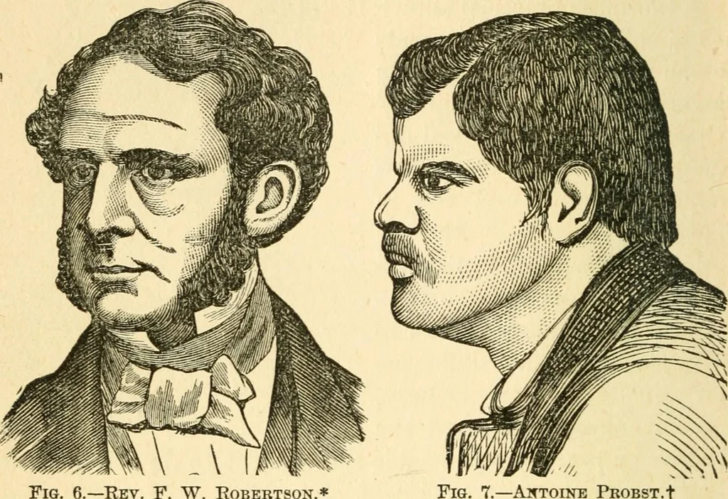 An illustration from How to read character : a new illustrated hand-book of phrenology and physiognomy, for students and examiners; with a descriptive chart, 1891, leaf 29