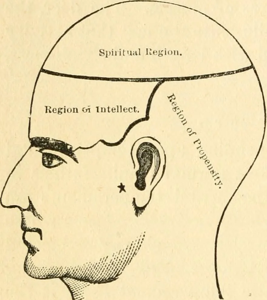 An illustration from How to read character : a new illustrated hand-book of phrenology and physiognomy, for students and examiners; with a descriptive chart, 1891, leaf 33