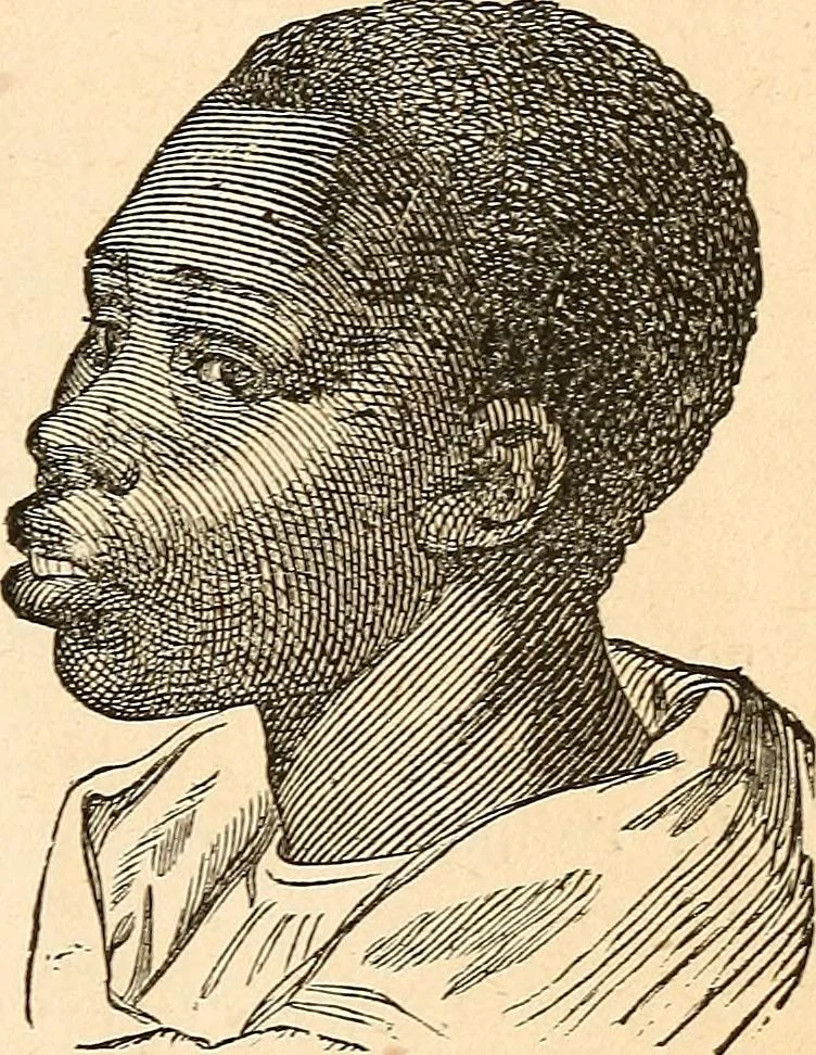 An illustration from How to read character : a new illustrated hand-book of phrenology and physiognomy, for students and examiners; with a descriptive chart, 1891, leaf 38