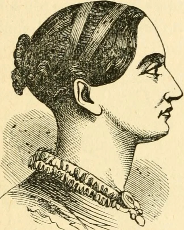 An illustration from How to read character : a new illustrated hand-book of phrenology and physiognomy, for students and examiners; with a descriptive chart, 1891, leaf 47