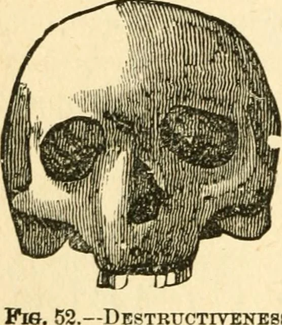 An illustration from How to read character : a new illustrated hand-book of phrenology and physiognomy, for students and examiners; with a descriptive chart, 1891, leaf 59