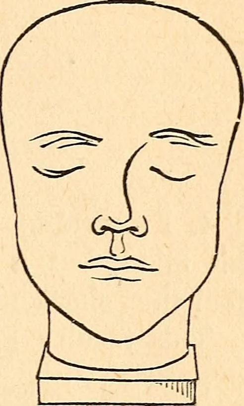 An illustration from How to read character : a new illustrated hand-book of phrenology and physiognomy, for students and examiners; with a descriptive chart, 1891, leaf 68