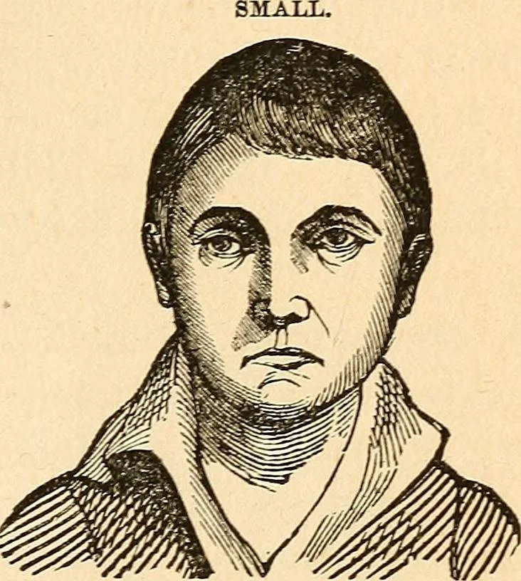 An illustration from How to read character : a new illustrated hand-book of phrenology and physiognomy, for students and examiners; with a descriptive chart, 1891, leaf 80