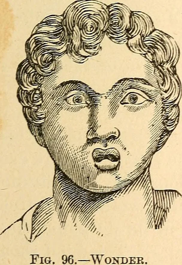 An illustration from How to read character : a new illustrated hand-book of phrenology and physiognomy, for students and examiners; with a descriptive chart, 1891, leaf 84