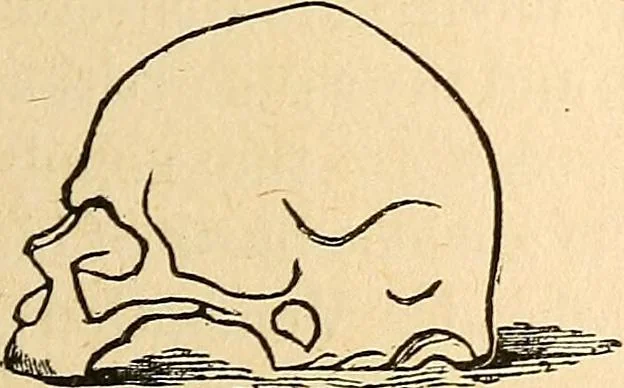 An illustration from How to read character : a new illustrated hand-book of phrenology and physiognomy, for students and examiners; with a descriptive chart, 1891, leaf 86