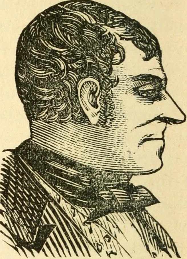 An illustration from How to read character : a new illustrated hand-book of phrenology and physiognomy, for students and examiners; with a descriptive chart, 1891, leaf 89