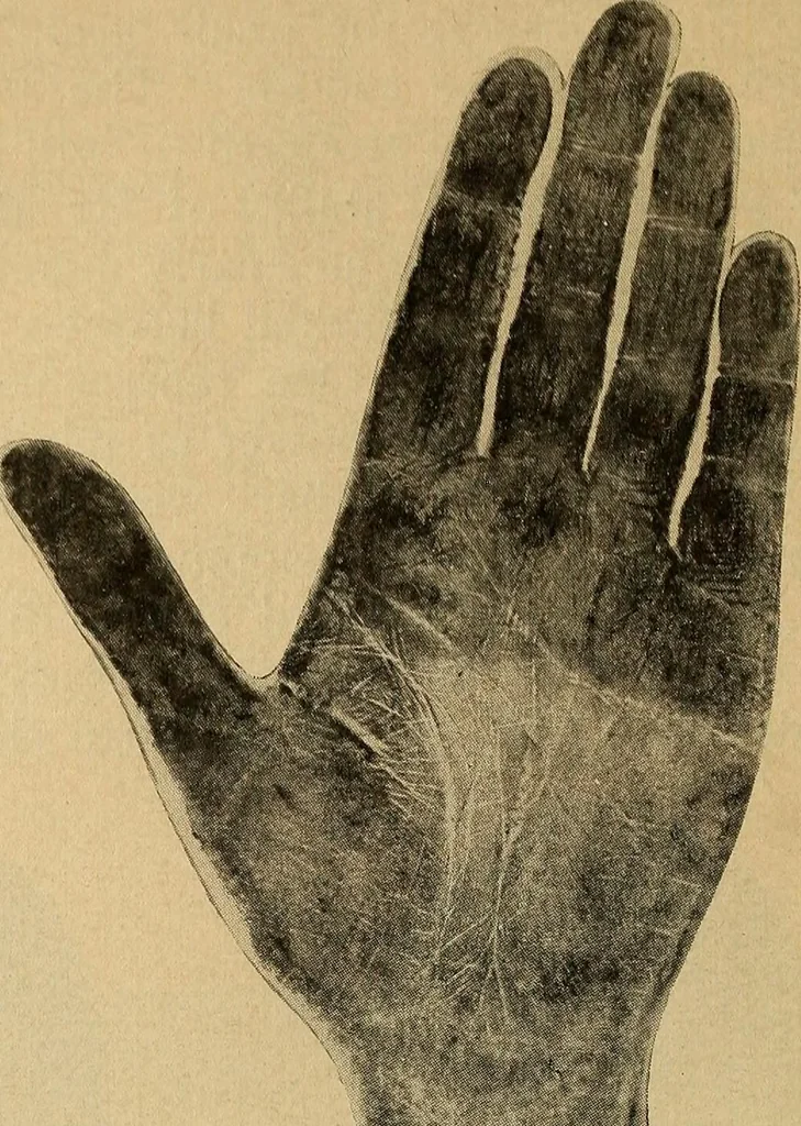 An illustration from How to read the human head and face, 1903, leaf 103