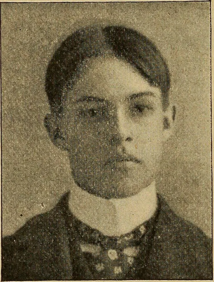 An illustration from How to read the human head and face, 1903, leaf 105