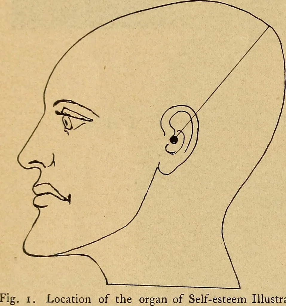 An illustration from How to read the human head and face, 1903, leaf 13