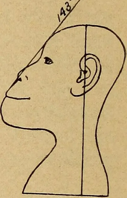 An illustration from How to read the human head and face, 1903, leaf 15