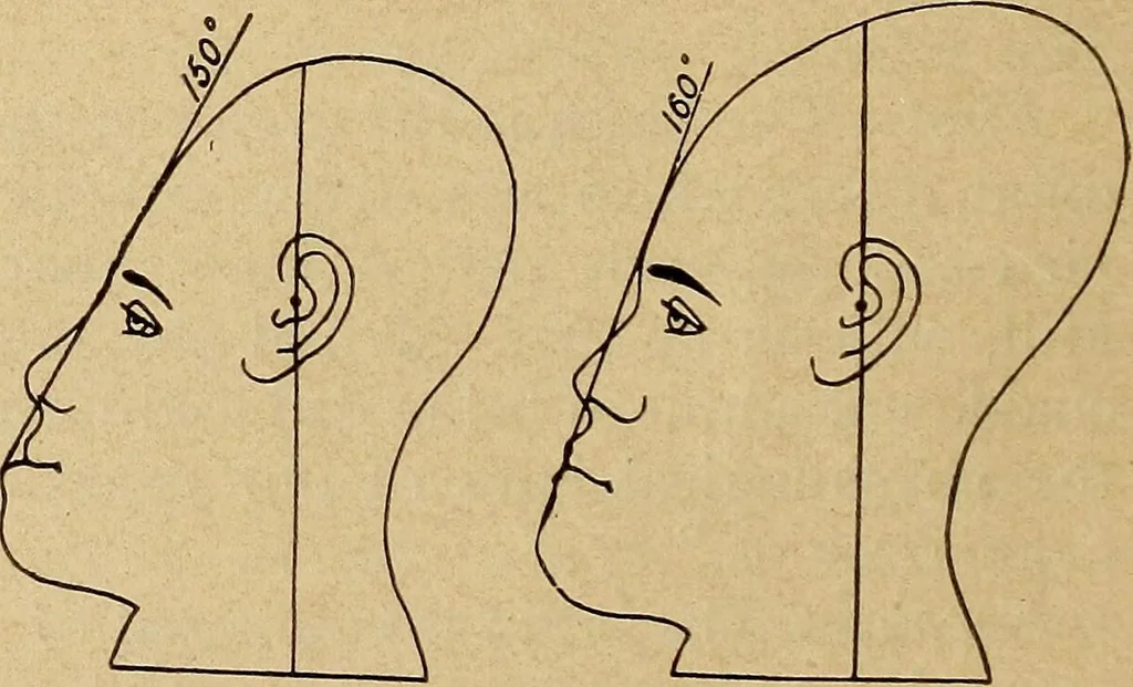 An illustration from How to read the human head and face, 1903, leaf 15