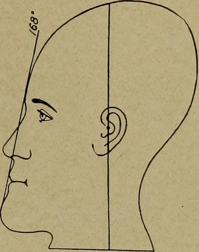 An illustration from How to read the human head and face, 1903, leaf 16