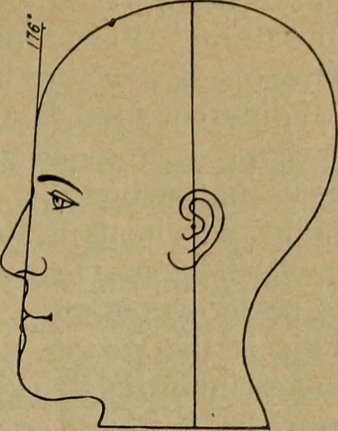 An illustration from How to read the human head and face, 1903, leaf 16