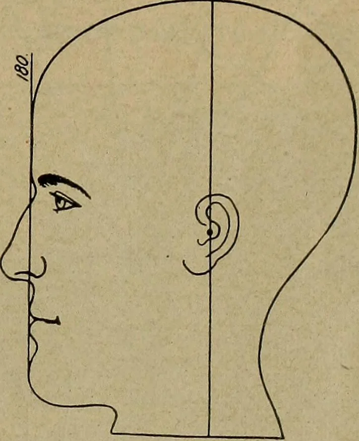 An illustration from How to read the human head and face, 1903, leaf 16