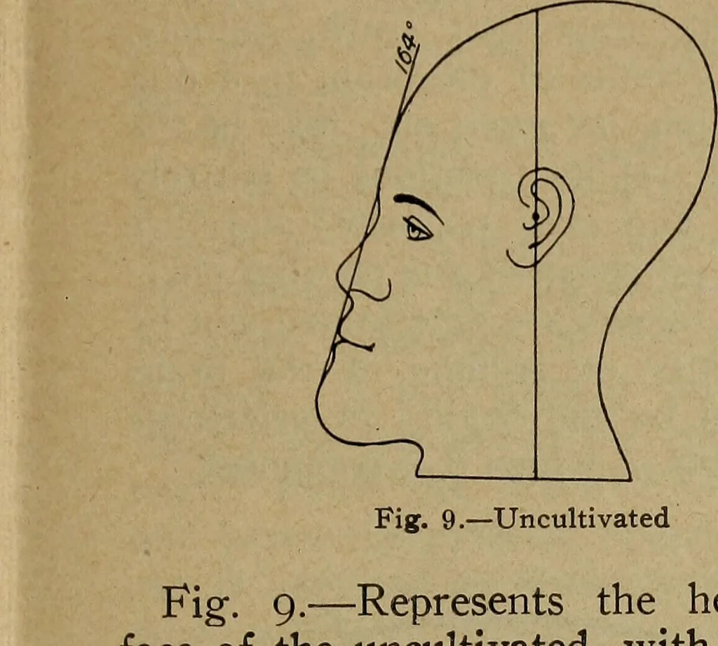 An illustration from How to read the human head and face, 1903, leaf 16