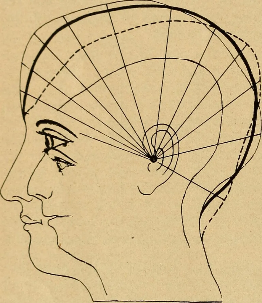 An illustration from How to read the human head and face, 1903, leaf 17