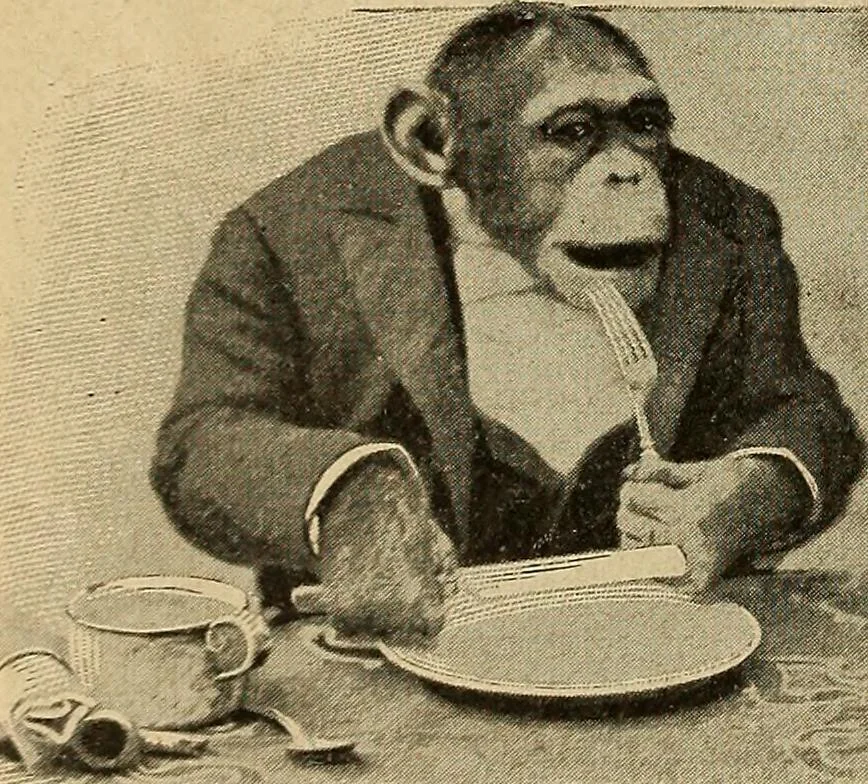 An illustration from How to read the human head and face, 1903, leaf 31