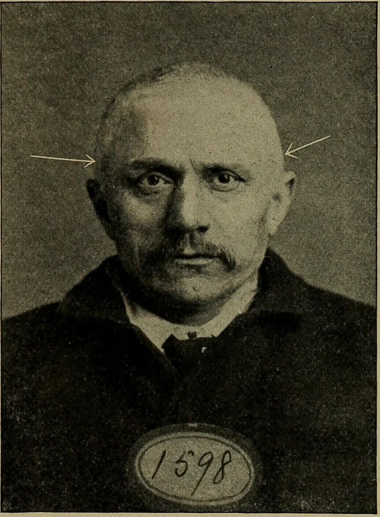 An illustration from How to read the human head and face, 1903, leaf 40