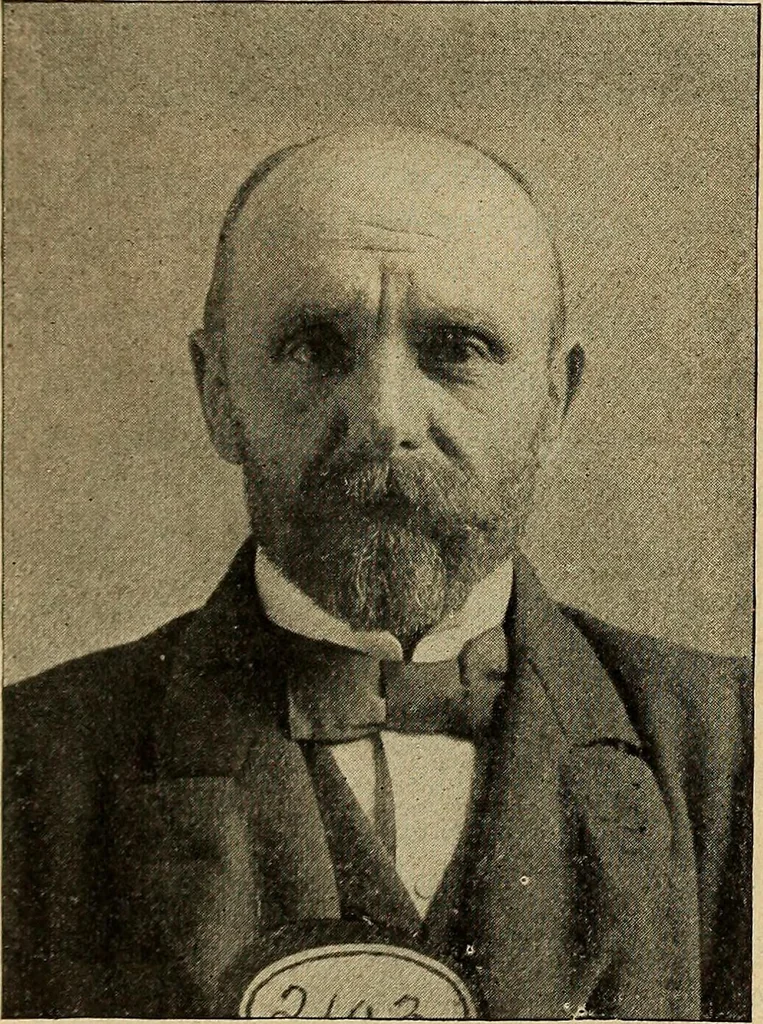 An illustration from How to read the human head and face, 1903, leaf 47