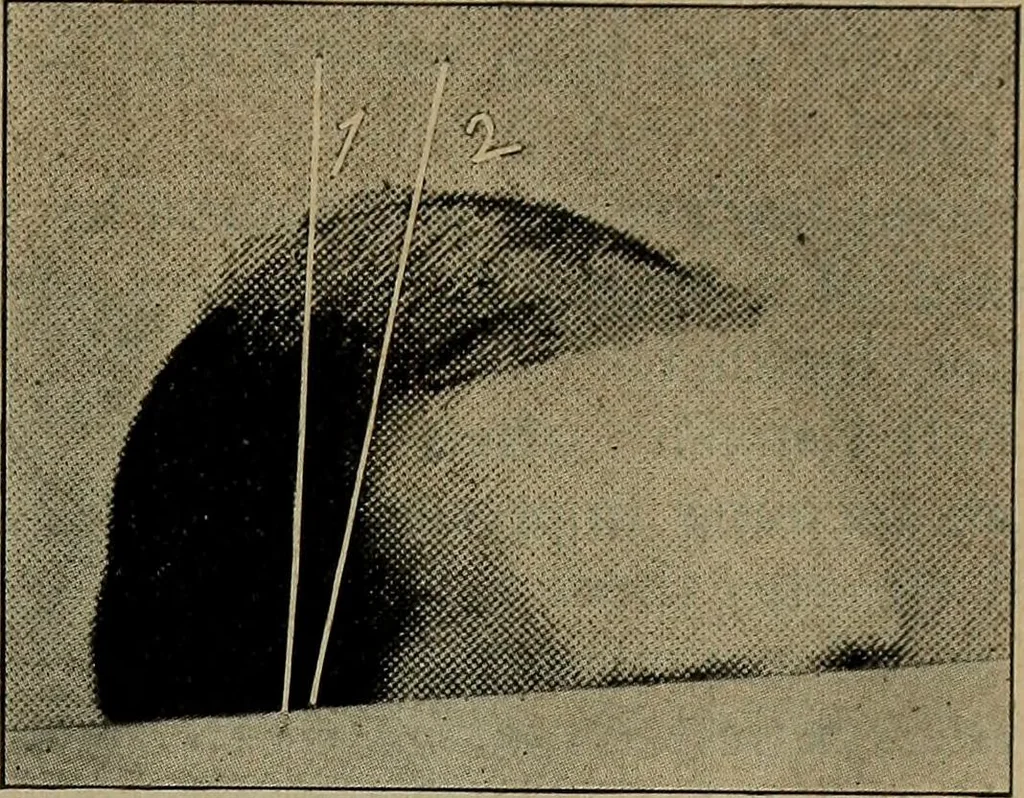 An illustration from How to read the human head and face, 1903, leaf 48