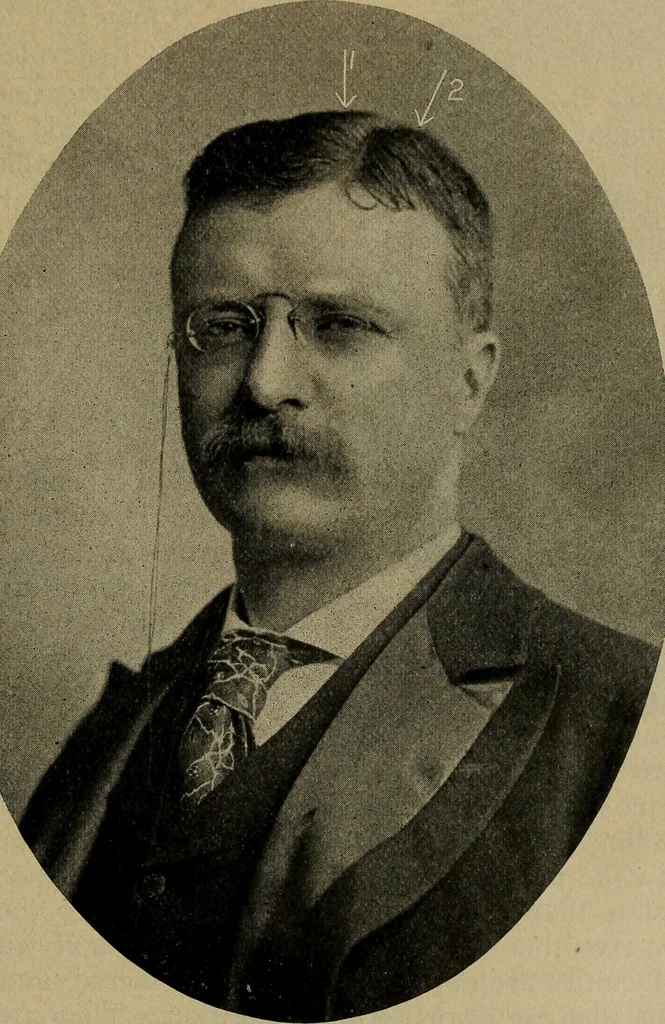 An illustration from How to read the human head and face, 1903, leaf 50