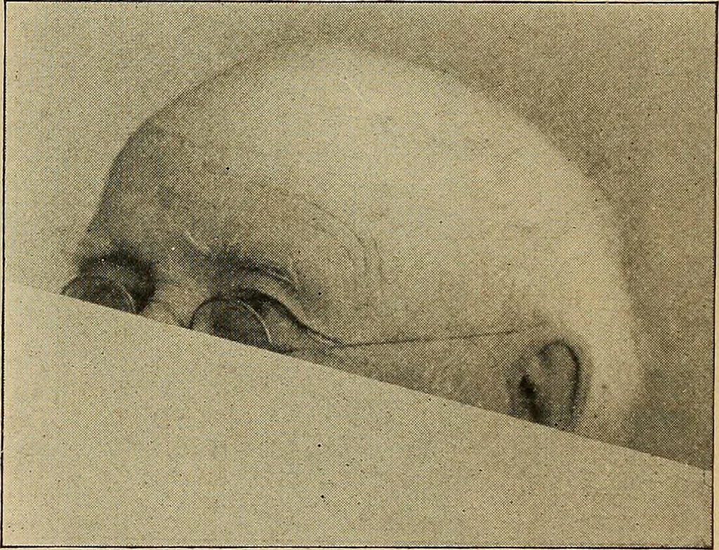 An illustration from How to read the human head and face, 1903, leaf 55