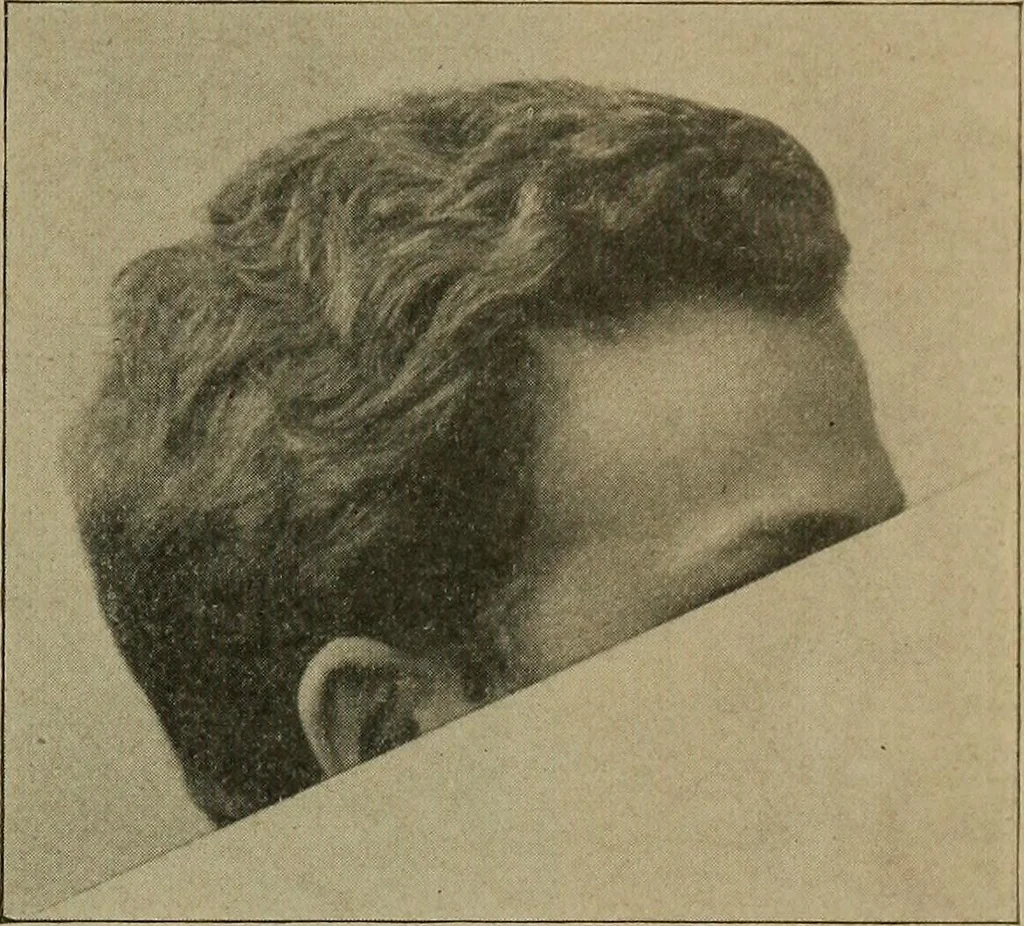 An illustration from How to read the human head and face, 1903, leaf 76