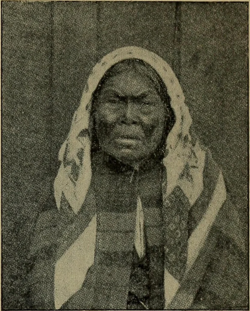 An illustration from How to read the human head and face, 1903, leaf 94
