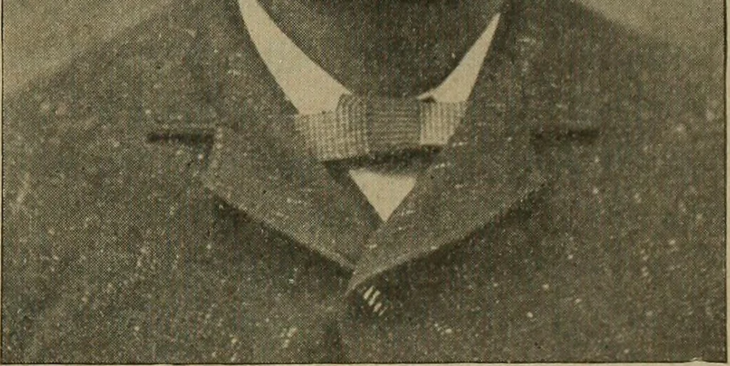 An illustration from How to read the human head and face, 1903, leaf 96