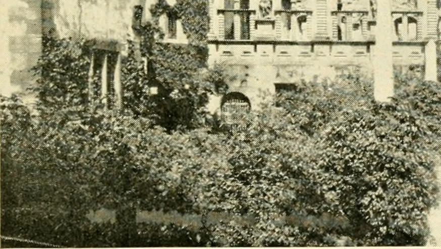 An illustration from How to study architecture; by Charles H. Caffin ... an attempt to trace the evolution of architecture as the product and expression of successive phases of civilisation, 1917, leaf 498