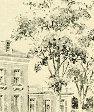 An illustration from How to study architecture; by Charles H. Caffin ... an attempt to trace the evolution of architecture as the product and expression of successive phases of civilisation, 1917, leaf 582