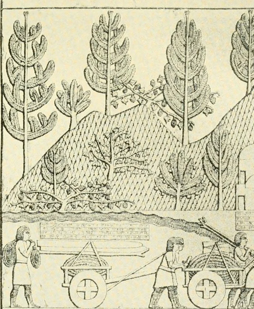An illustration from How to study architecture; by Charles H. Caffin ... an attempt to trace the evolution of architecture as the product and expression of successive phases of civilisation, 1917, leaf 93