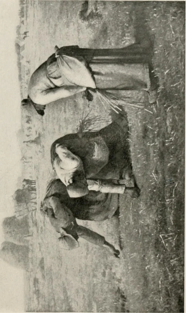 An illustration from How to study pictures by means of a series of comparisons of the painters' motives and methods .., 1906, leaf 370