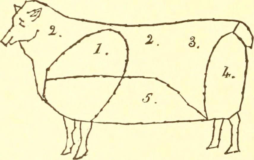 An illustration from How to teach kitchen garden; or, Object lessons in household work, including songs, plays, exercises, and games illustrating household occupations, 1901, leaf 149