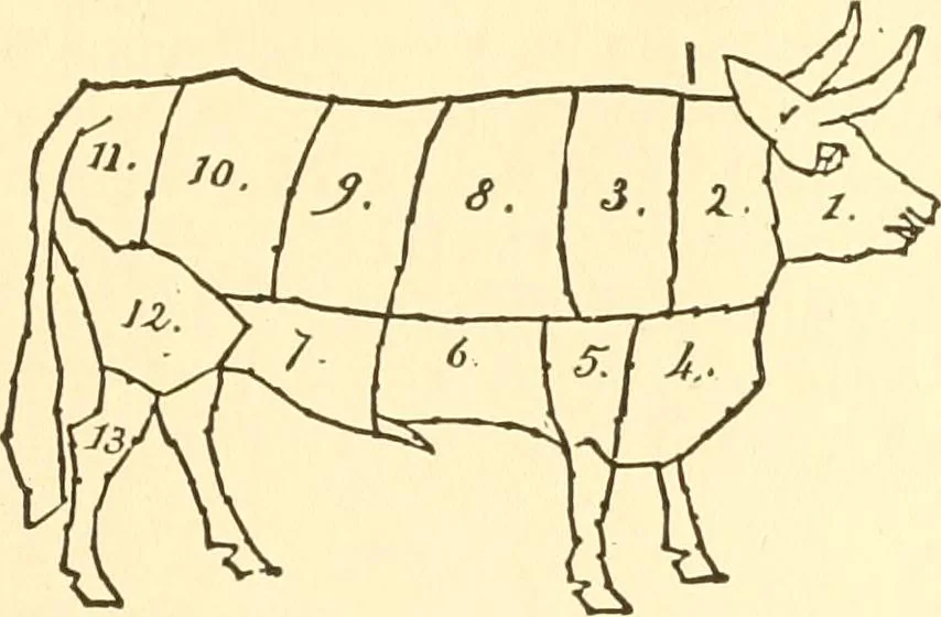 An illustration from How to teach kitchen garden; or, Object lessons in household work, including songs, plays, exercises, and games illustrating household occupations, 1901, leaf 150