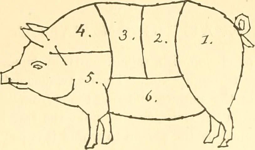 An illustration from How to teach kitchen garden; or, Object lessons in household work, including songs, plays, exercises, and games illustrating household occupations, 1901, leaf 152