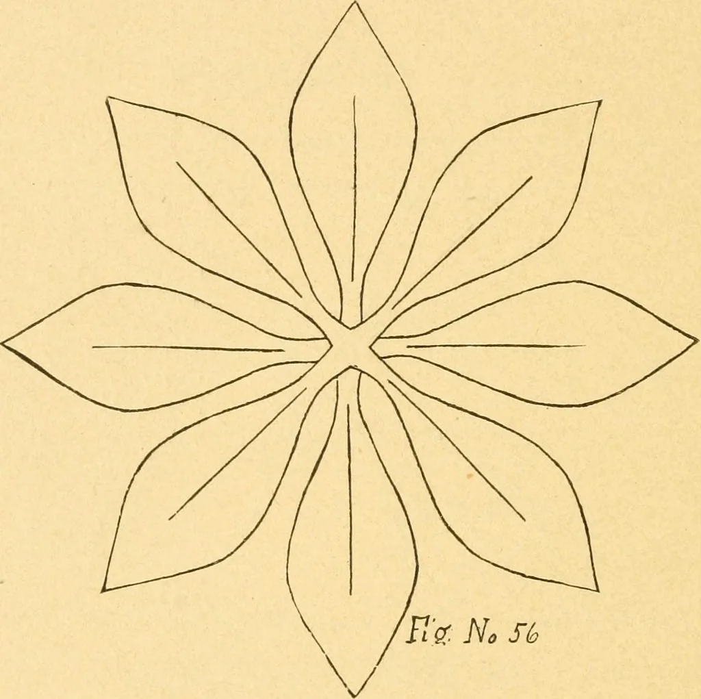 An illustration from How to teach paper-folding and cutting: a practical manual-training aid, 1892, leaf 47